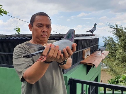 Merpati Pos dan Rekayasa Teknologi